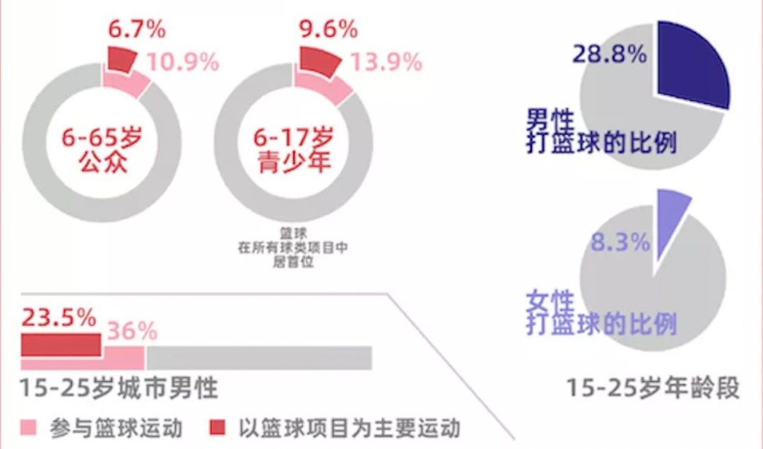 青少年篮球运动员如何利用数据分析提升技能